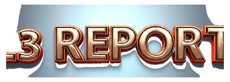 ls3 report logo